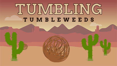 Tumbling Tumbleweeds